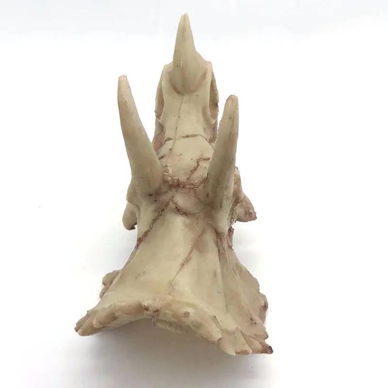 1pcs Aquarium Decorations Resin Fossil Artificial Fish Tank Ornament Shrimps Small Fish Reptile Aquarium Shelter Landscape Decor