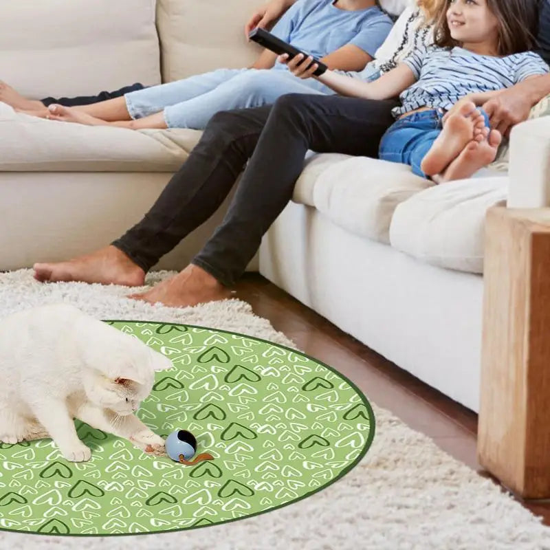 2 in 1 Self Rotating Ball Cat Toy Smart Interactive Cat Toy USB Rechargeable Wicked Ball 360 Degree Automatic Cat Moving Rolling