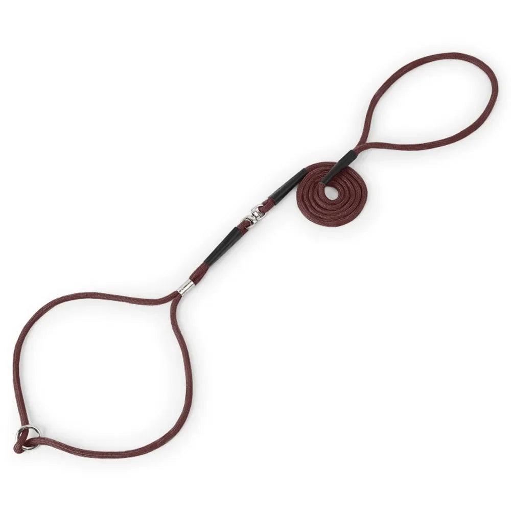 Superior Thin Nylon Slip Lead Dog Leash 5mm*120cm No Pull Pet Slip Leash for Puppy Training Adjustable Slip Collar for Small Dog