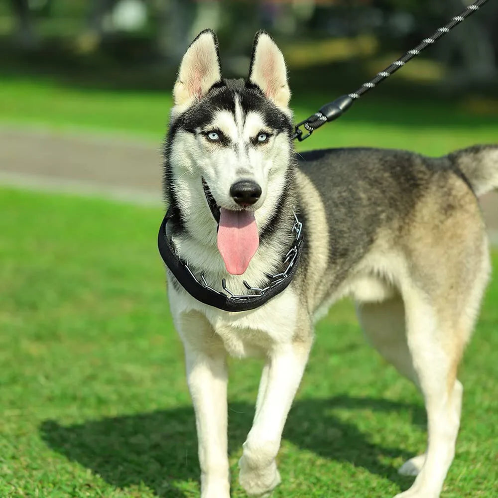 Pet Prong Collar for Dogs Adjustable Dog Choke Pinch Training Collar with Rubber Tips & Nylon Cover for Small Medium Large Dogs