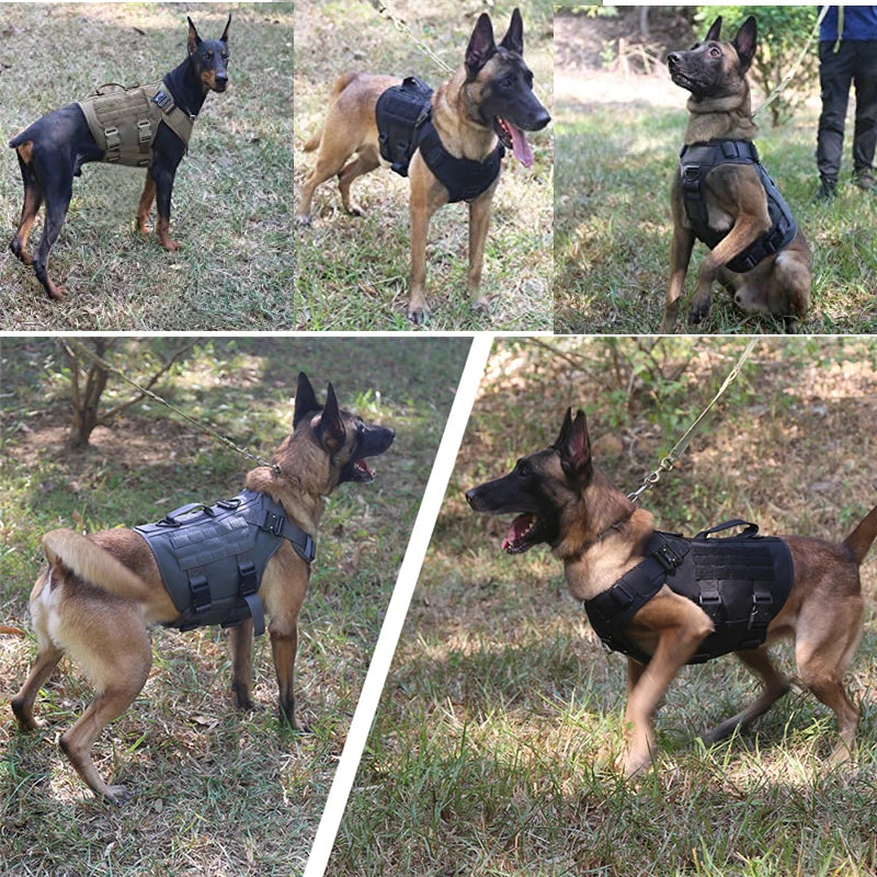 K9 Tactical Military Vest Pet German Shepherd Golden Retriever Tactical Training Dog Harness and Leash Set For All Breeds Dogs