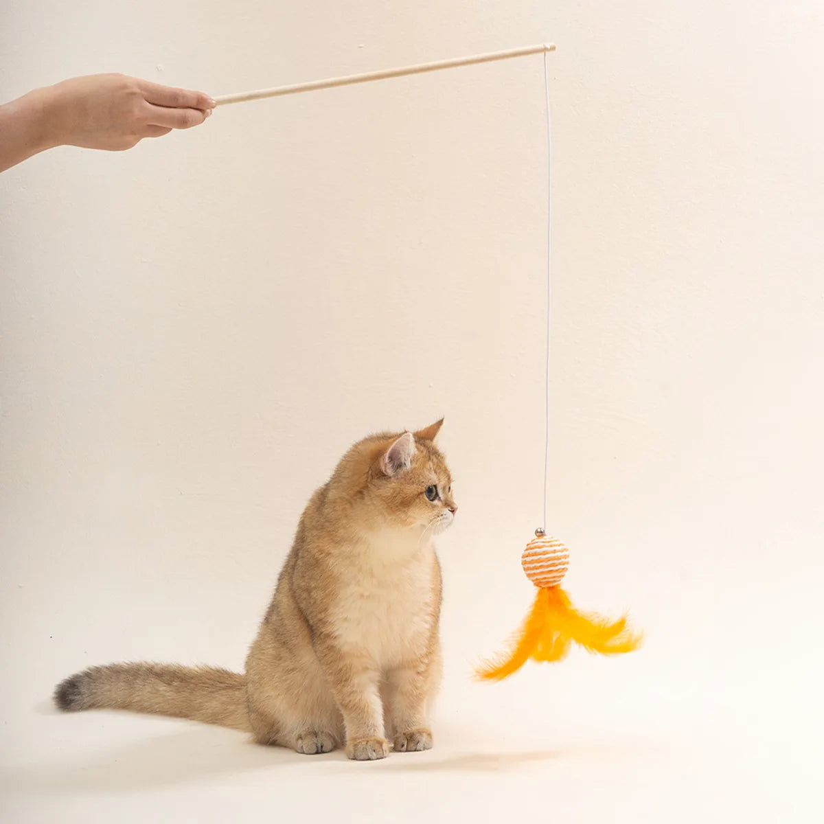 Cat Toy Cat Teaser Sticks Paper Rope Ball Tease Cat Stick Cat Interactive Toy Pet Toy Replace Head Cat Supplies Tease Cat Ball.