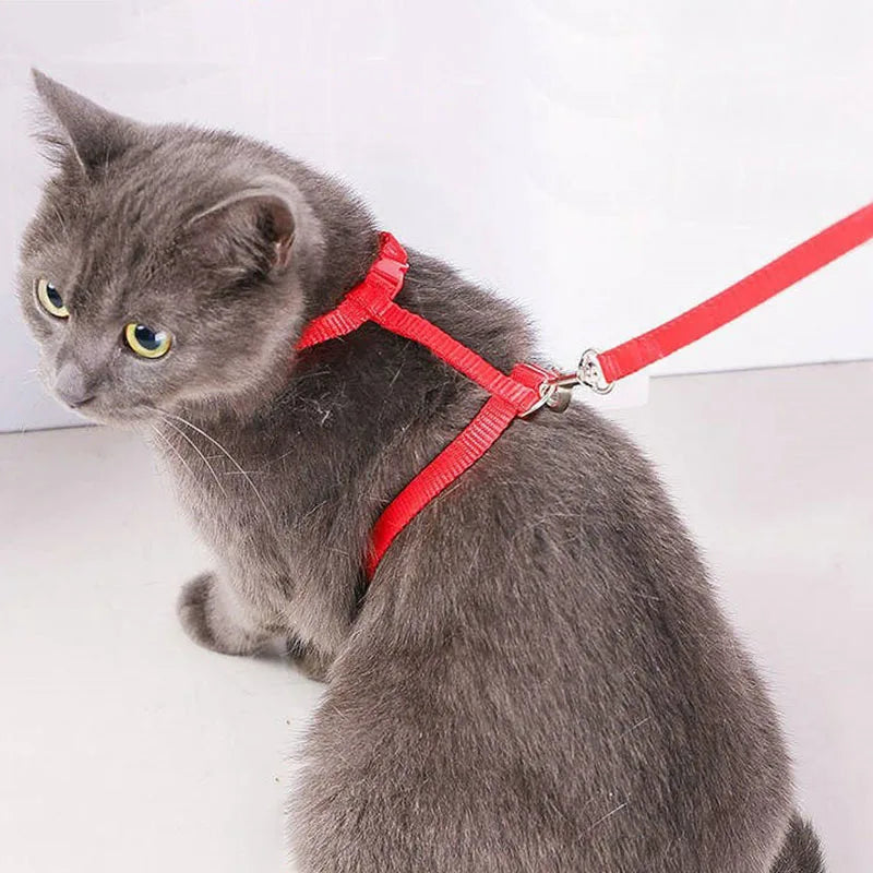Adjustable Pet Cat Collar For Cats Cozy Nylon Rabbit Kitten Kedi Harness Leash Set Small Puppy Dog Cat Accessories Pet Products