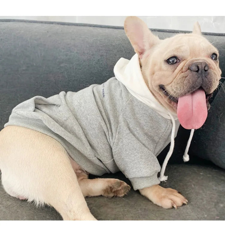 The New Pet Clothes Dog Clothes Parent-child Wear Spring and Autumn Korean Version Pure Cotton Hoodie Four Colors Seven Sizes