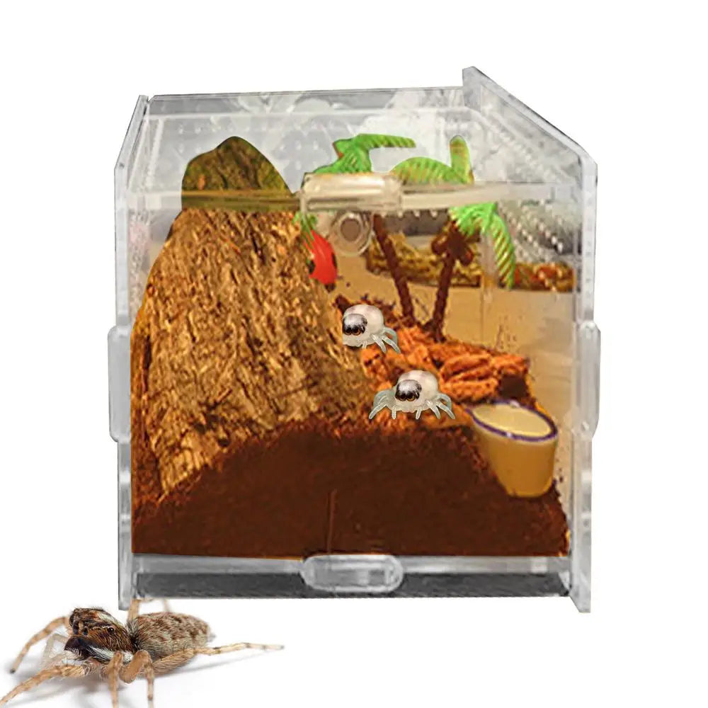 Terrarium For Reptile Snail Arcylic Breeding Box Wolf Spider Jumping Spider Snail Scorpion Durable Invertebrate Breeding Box