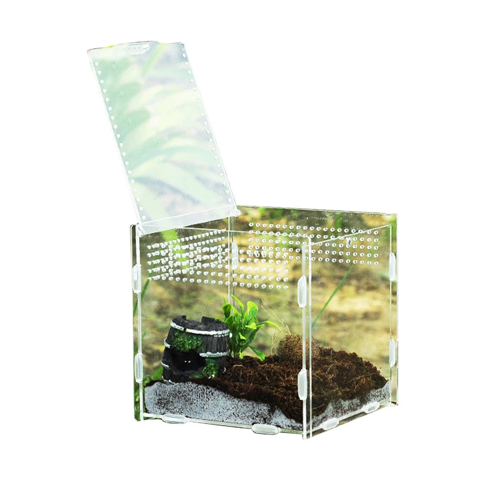 Reptile Terrarium Transparent Reptile Breeding Carrier Lightweight Acrylic Large Feeding Tarantula Habitat Box For Small Animals