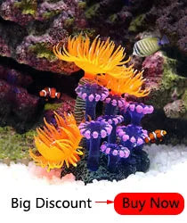 Acrylic Aquarium Betta Mirror Fish Tank Floating Round Mirror For Fish Betta Flowerhorn Cichlid Training 4cm/5cm/6cm/7cm/8cm/9cm