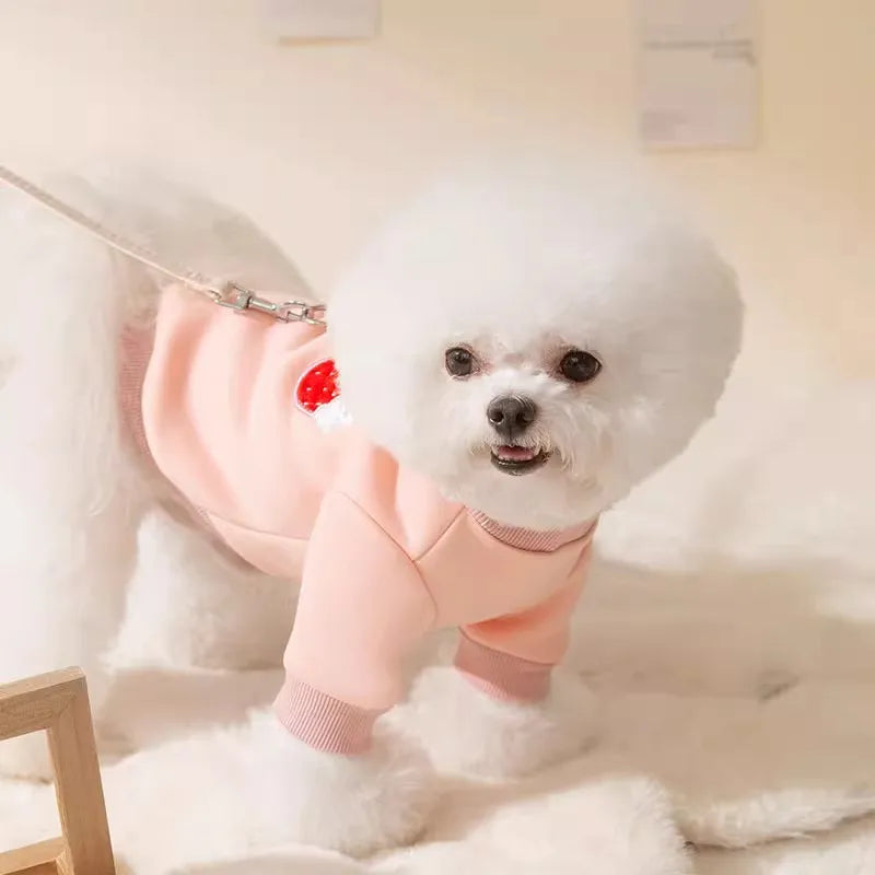 Winter Warm Pet Dog Clothes Soft Dog Hoodie Puppy Outfit Pug Chihuahua Sweater Polo Shirt Cat Puppy Coat Dog Dress Dog Costume
