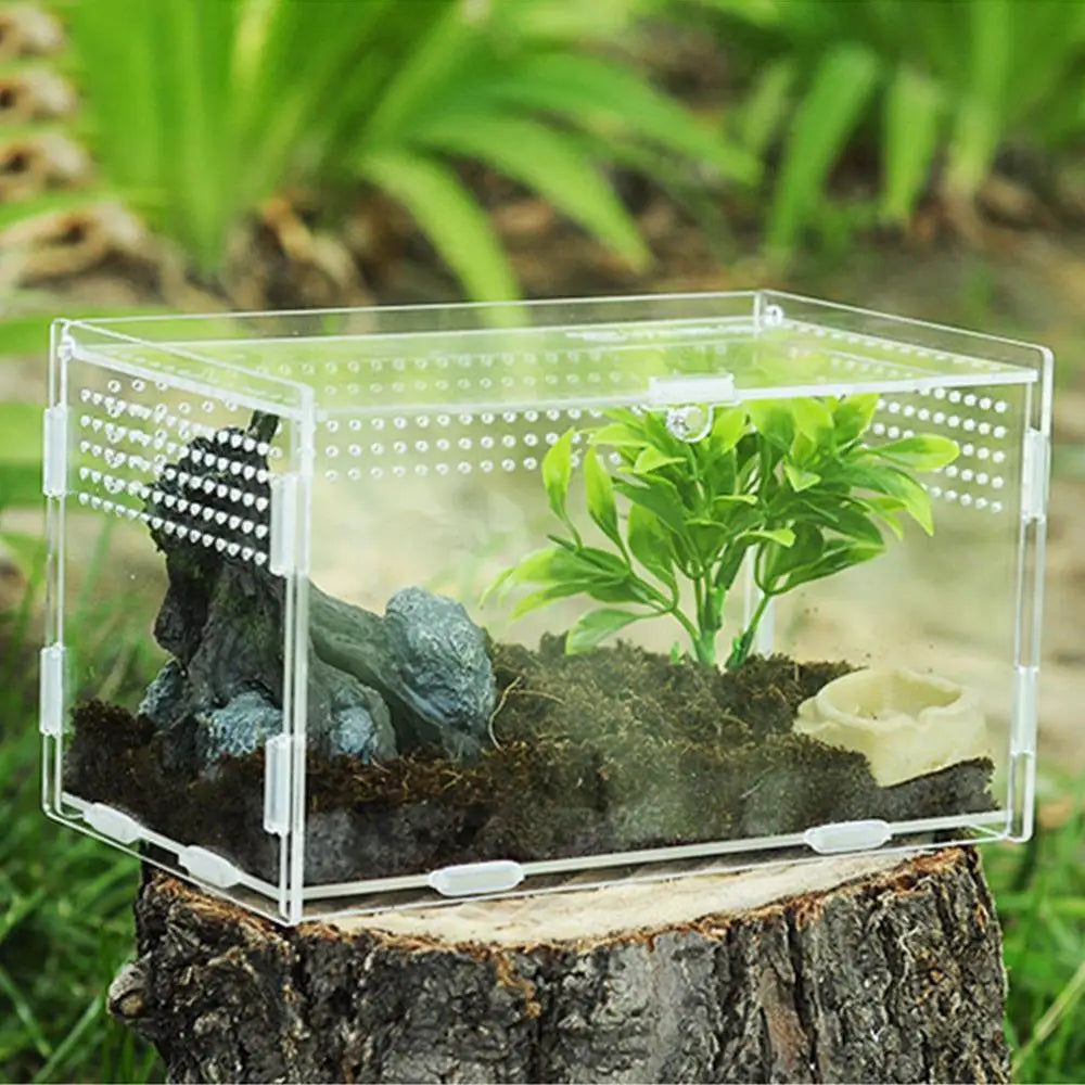 Reptile Terrarium Transparent Reptile Breeding Carrier Lightweight Acrylic Large Feeding Tarantula Habitat Box For Small Animals
