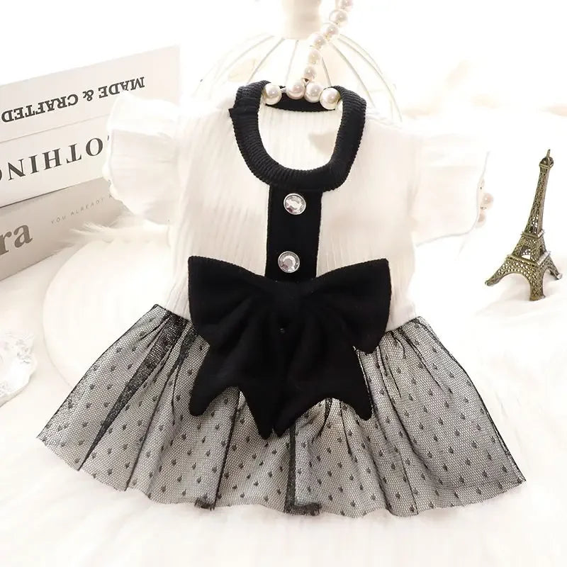 Dog Princess Dress Summer Dog Clothes for Small Dogs Pet T-Shirt Black Lace Retro Puppy Skirt Chihuahua Bichon Girls Dog Costume
