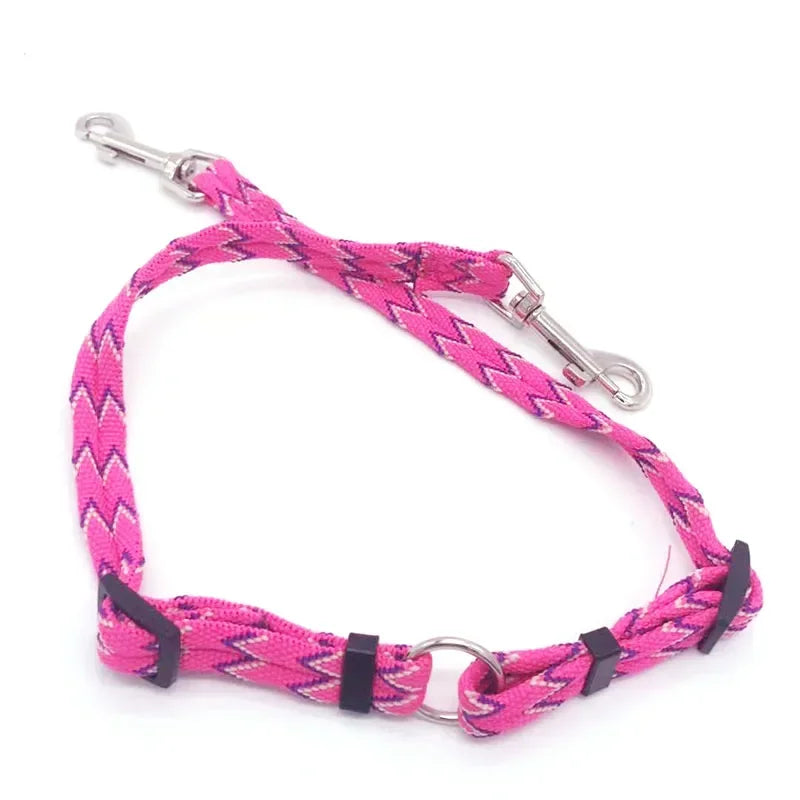 Two DOGS Leash Double Twin Lead Walking Leash Two Pets Cats Dual Couple Dog Leashes Nylon V Shape Leashes for Dog Cat Hot-Sale