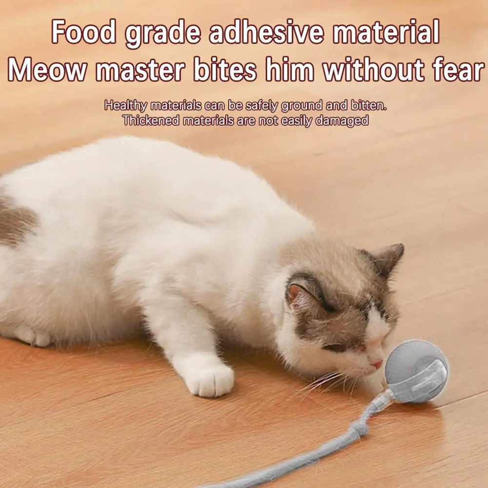 360° Automatic Self Moving Dog Cat Toys USB Rechargeable Dog Electric Toys Smart Rolling Ball Interactive Automatic J3L4