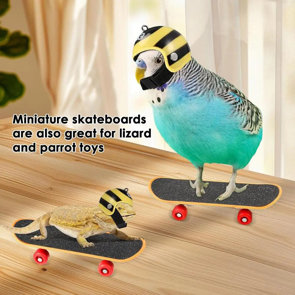 Turtle Feeding Ball Fruit Vegetable Holder with Training Skateboard 2 Treat Balls Turtle Enrichment Toys for Tortoise Turtle