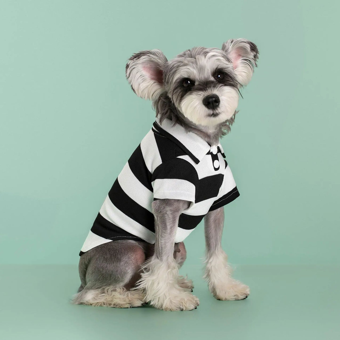 Striped Pet Polo Shirt Summer Dog Clothes for Small Dogs Cotton Puppy Vest Chihuahua Bichon Costume Cat T Shirt Dog Undershirt