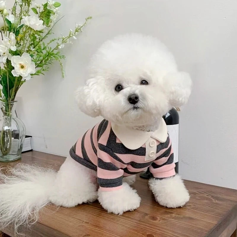 Summer Puppy Clothes Solid Dog Polo Shirt Teddy Bichon Frise Chihuahua Dog Pullover Cat Dog Sweatshirt Pet Cooling Vest Clothing