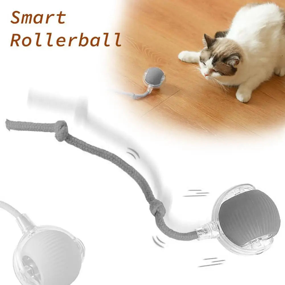 360° Automatic Self Moving Dog Cat Toys USB Rechargeable Dog Electric Toys Smart Rolling Ball Interactive Automatic J3L4
