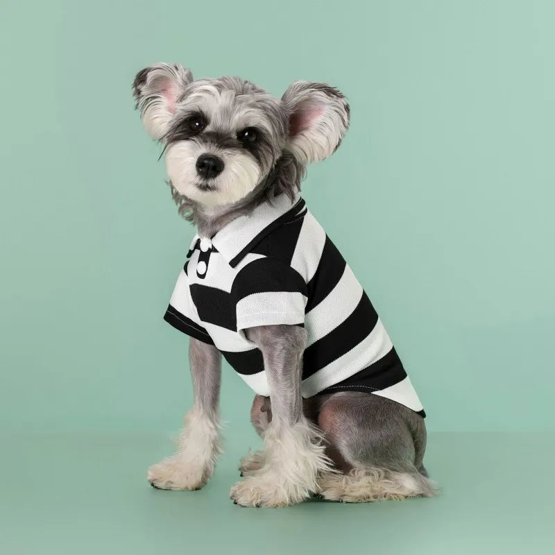 Striped Pet Polo Shirt Summer Dog Clothes for Small Dogs Cotton Puppy Vest Chihuahua Bichon Costume Cat T Shirt Dog Undershirt