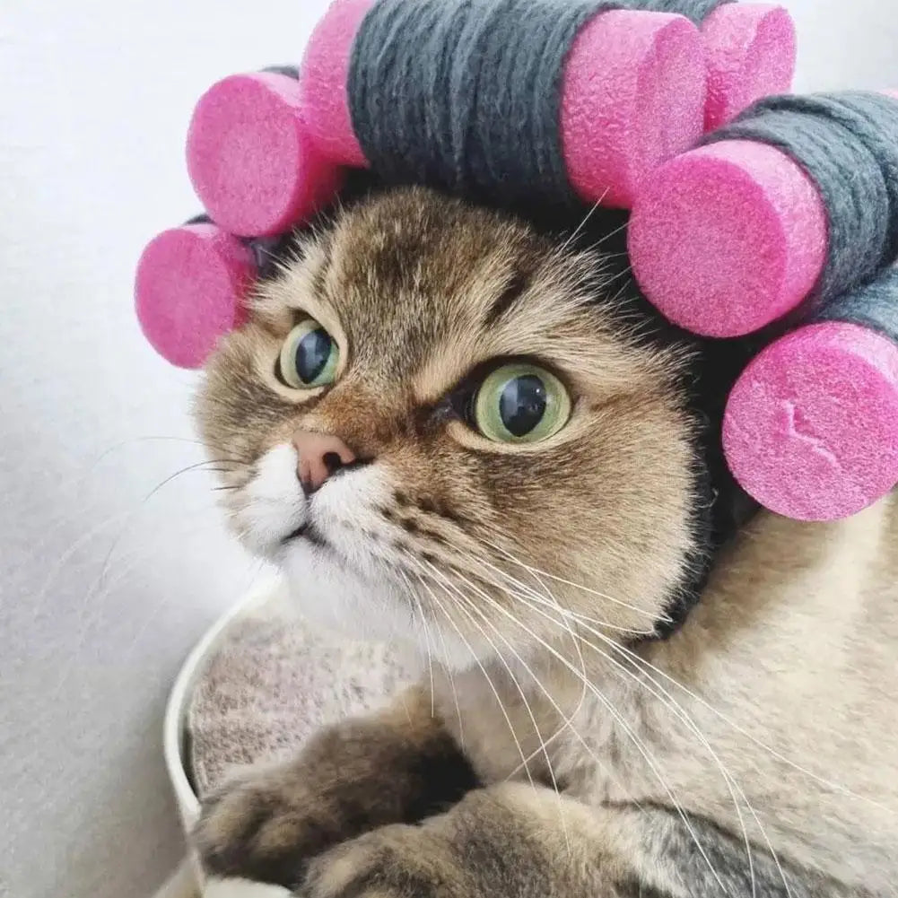 Cute Creative Pet Headdress Halloween Atmosphere Sense Wig Funny Pet Hat Pet Fashion Fun Curly Hair Photo Styling Headband Pet T