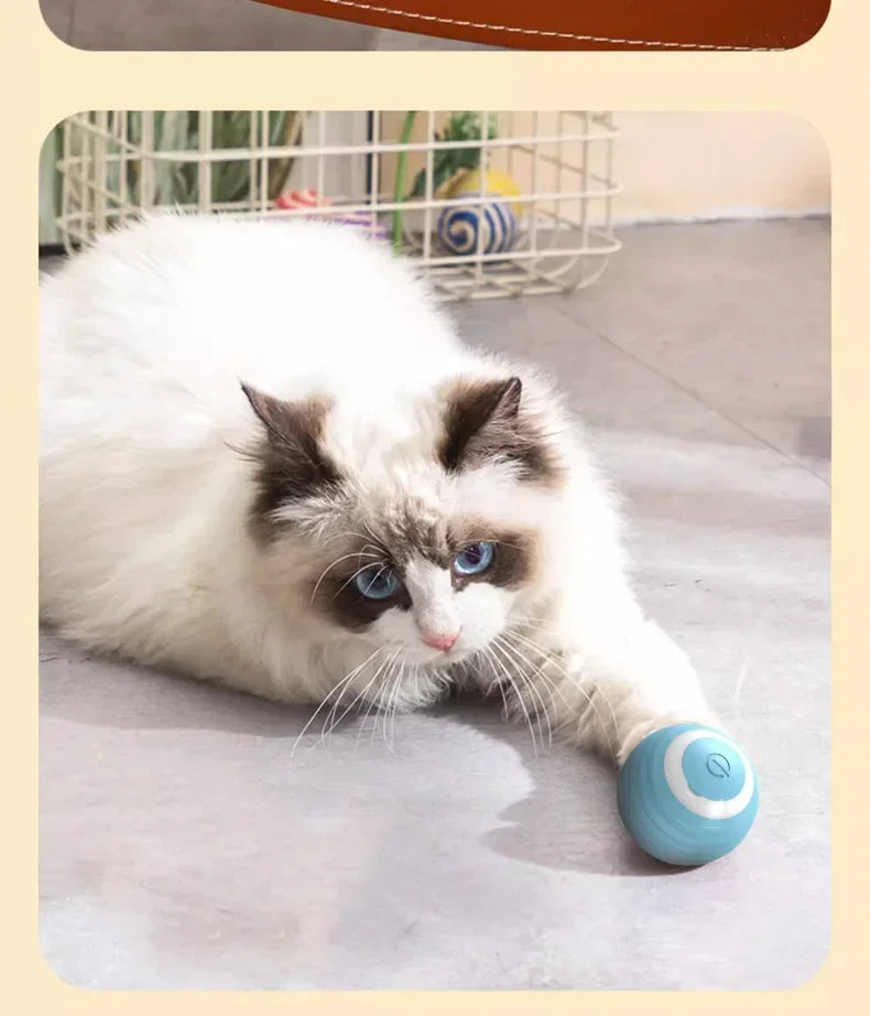 Funny Cat Ball Pet Toy Ball Gravity Rolling Ball Cat Self-Happiness Ball Bite-resistant and Boredom Relieving Automatic Rolling
