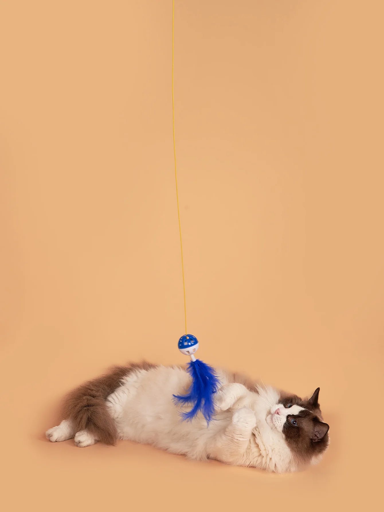 Cat Toy Cat Teaser Sticks Plastic Bell Swing Cat Teaser Stick Cat Durability Self Improvement And Relaxation Tool