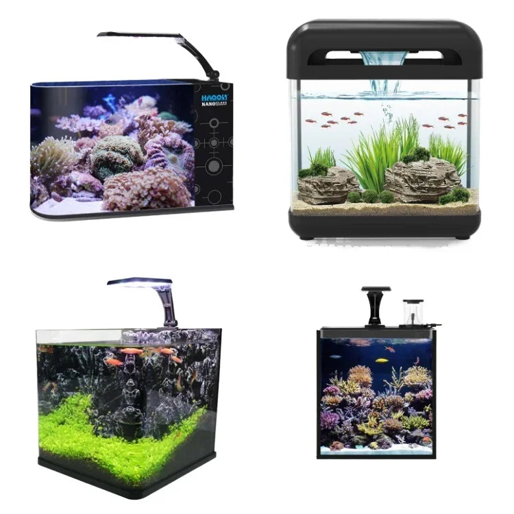 Table Curvedcurved Saltwater Marine Fish Tank Aquarium