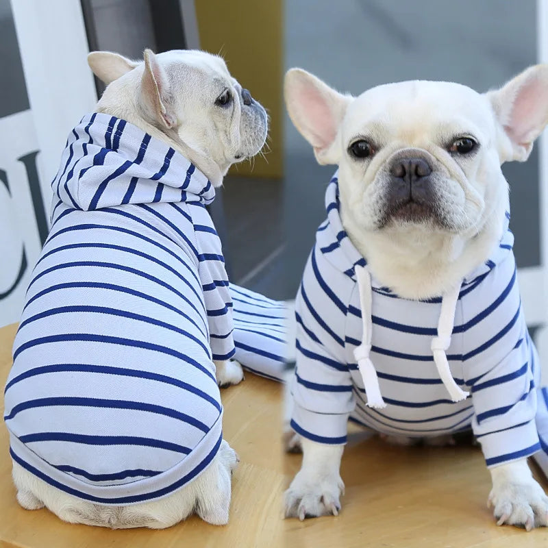 2023New Spring Summer Dog Hoodies Puppy Small Dog Costume Shirt Yorkshire Terrier Pomeranian Bichon Poodle maltese Clothing Coat
