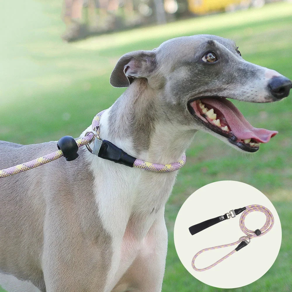 Dog Collar Dog Leash P Chain Slip Rope Leads Leash Pet Puppy Nylon Rope Adjustable Loop Collar Slip Lead for Training Large Dogs