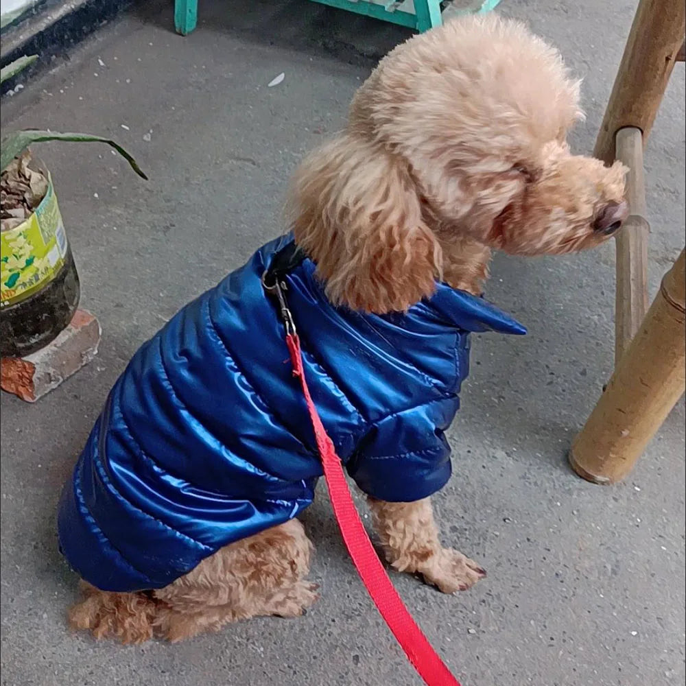 Puppy Pet Dog Clothes Outdoor Windproof Waterproof Leather Dog Coat Winter Warm Padded Jacket for Dogs and Cats in Cold Weather