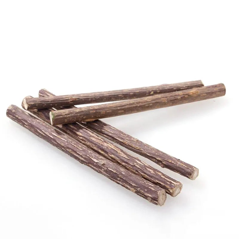 4pcs/Lot Pure Natural Catnip Stick Pet Toys For Cats Molar Toothpaste Branch Cleaning Teeth Silvervine Cat Snacks Sticks