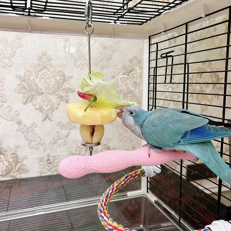 Stainless Steel Pet Parrot Feeder Fruit Corn Fork Toys Chicken Vegetables Holder Hang Cage Feeding Stick Feeder Accessories Pet