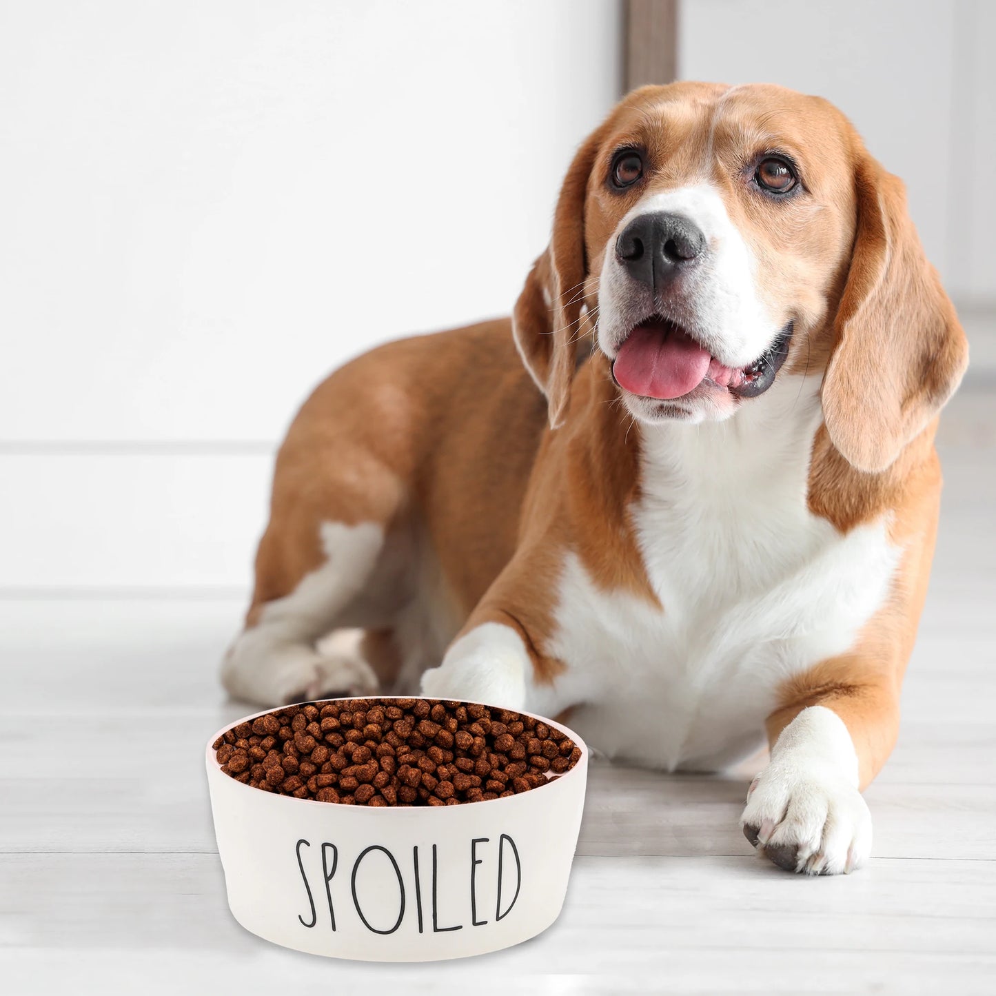 UXCELL 70Oz 200g Ceramic Dog Bowl Large Dog Water Bowl Non-Slip Dog Food Bowls Resistant Pet Bowl Dog Feeders Easy to Clean