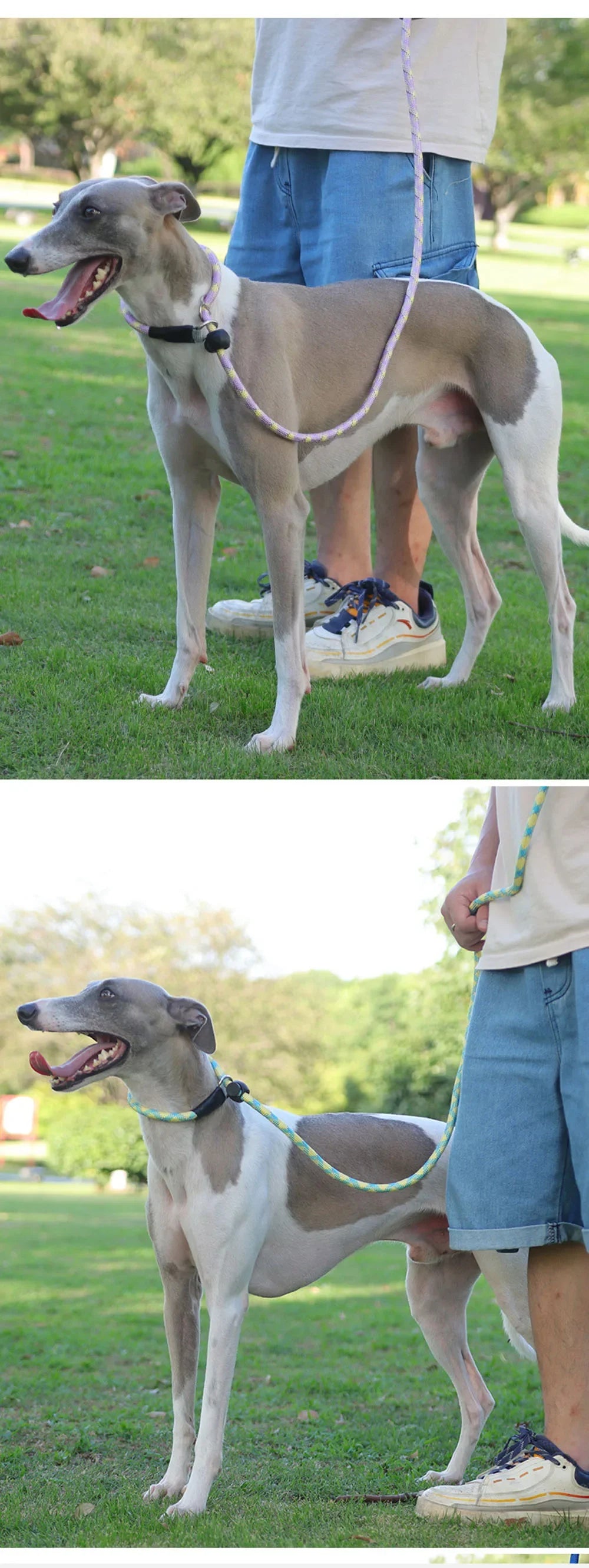 Dog Collar Dog Leash P Chain Slip Rope Leads Leash Pet Puppy Nylon Rope Adjustable Loop Collar Slip Lead for Training Large Dogs