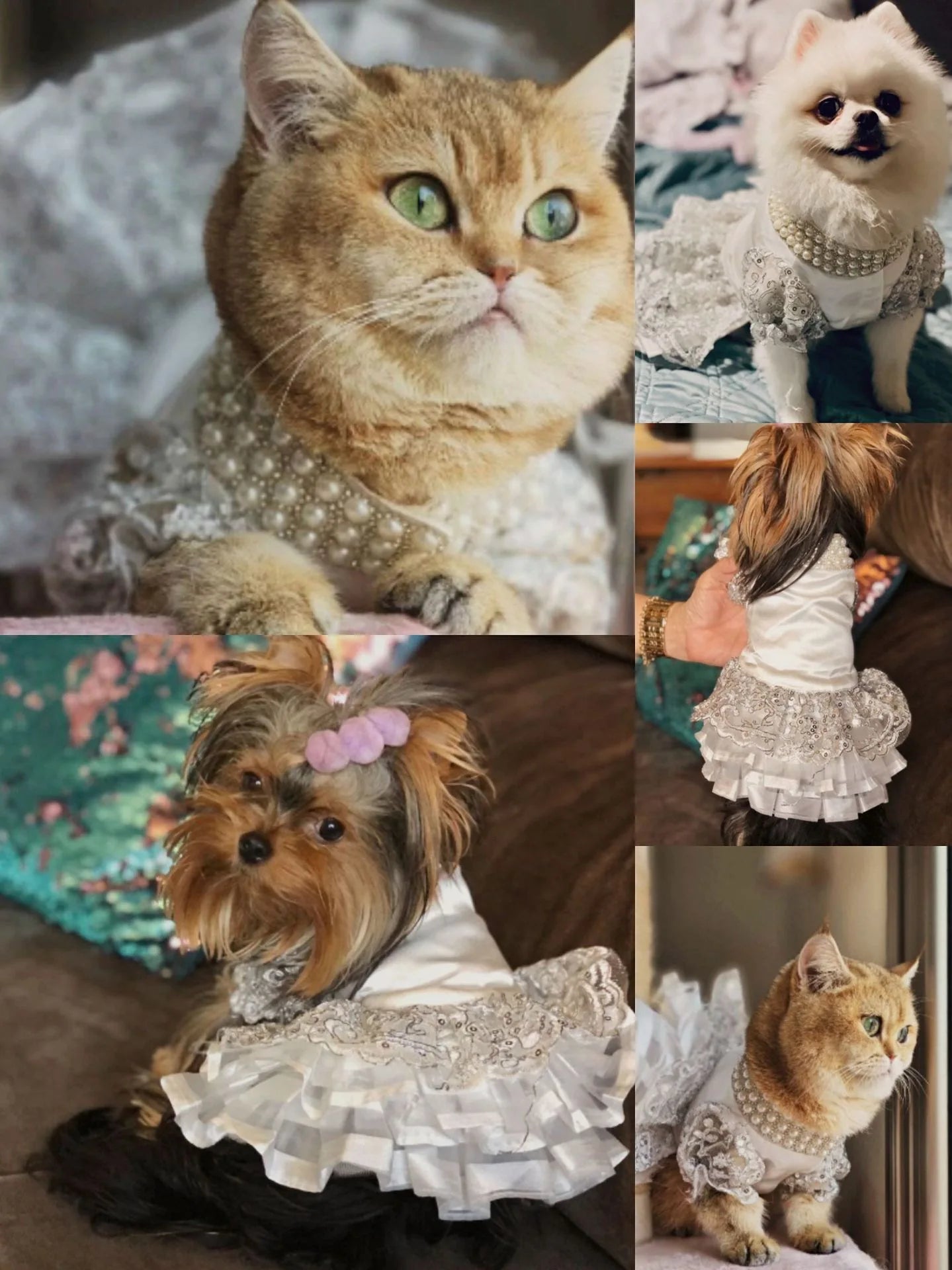 Pet Dog Cat Dress Summer Clothes Dot Dog Dress For Dogs Skirt Summer Princess Dog Wedding Dresses dog dresses for small dogs