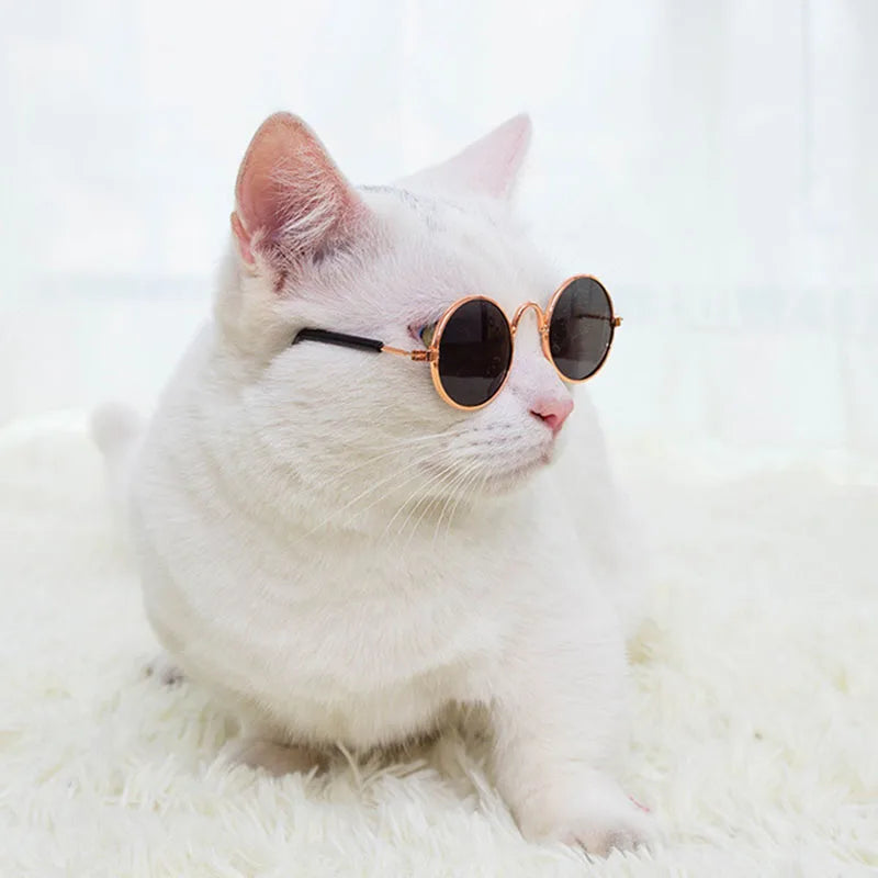 Anti-slip Cat Sunglasses Pet Accessories Small Dog Sun Glasses Classic Retro Circular Glasses for Kitten Photos Props Cosplay