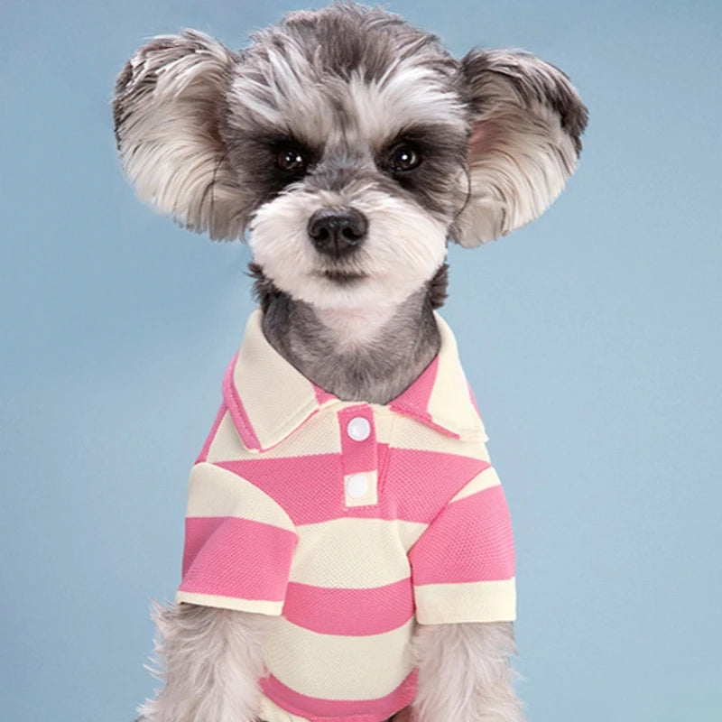 Striped Pet Polo Shirt Summer Dog Clothes for Small Dogs Cotton Puppy Vest Chihuahua Bichon Costume Cat T Shirt Dog Undershirt