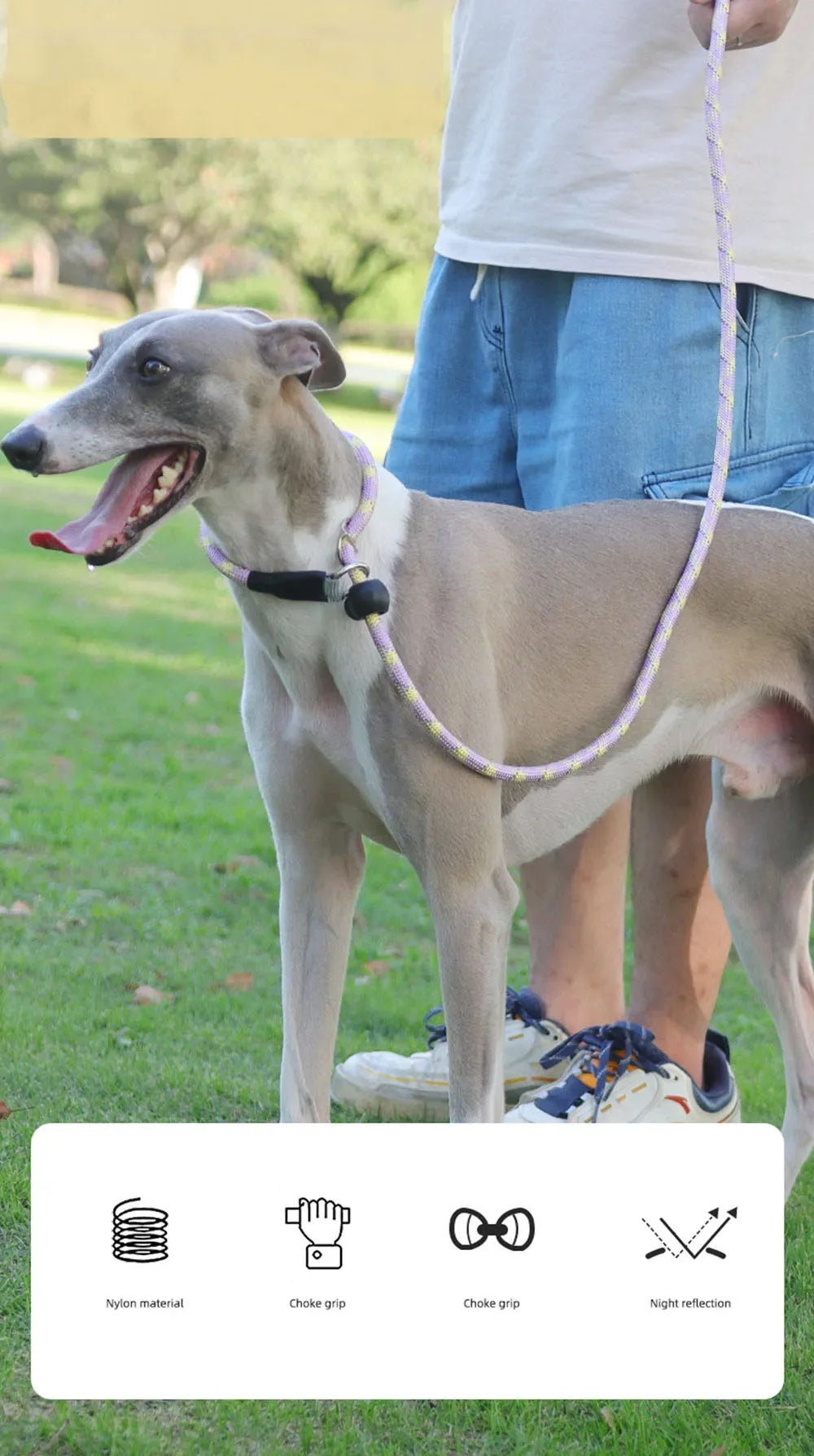 Dog Collar Dog Leash P Chain Slip Rope Leads Leash Pet Puppy Nylon Rope Adjustable Loop Collar Slip Lead for Training Large Dogs