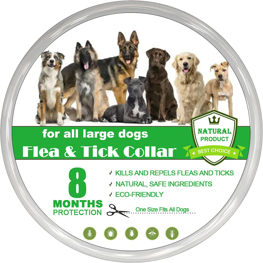 New 38/70cm Pet Anti Flea Ticks Anti-parasitic Dog Collar 8 Month Protection Retractable Collars for Puppy Cat Big Dogs Supplies