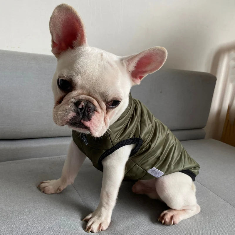 Lightweight Dog Jacket Pet Down Jacket Coat Autumn Dog Clothes for Small Medium Dogs Chihuahua Yorkie Bulldog Dachshund Clothing