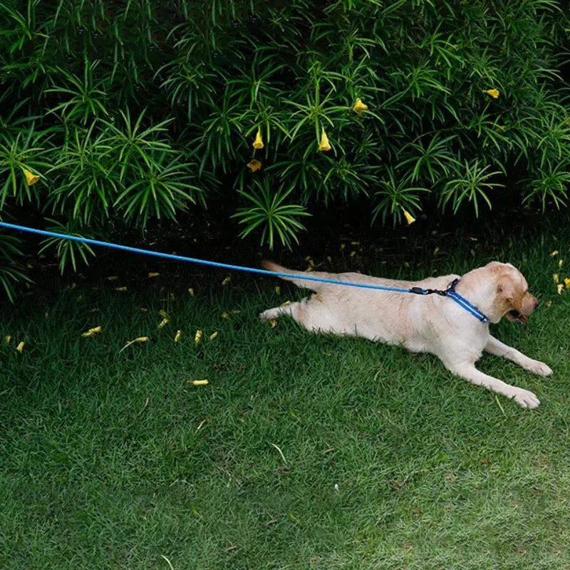 Waterproof PVC Pet Dog Leash 5m 10m Recall Training Leash Strong Tie Out Cable For Small Medium Large Dogs