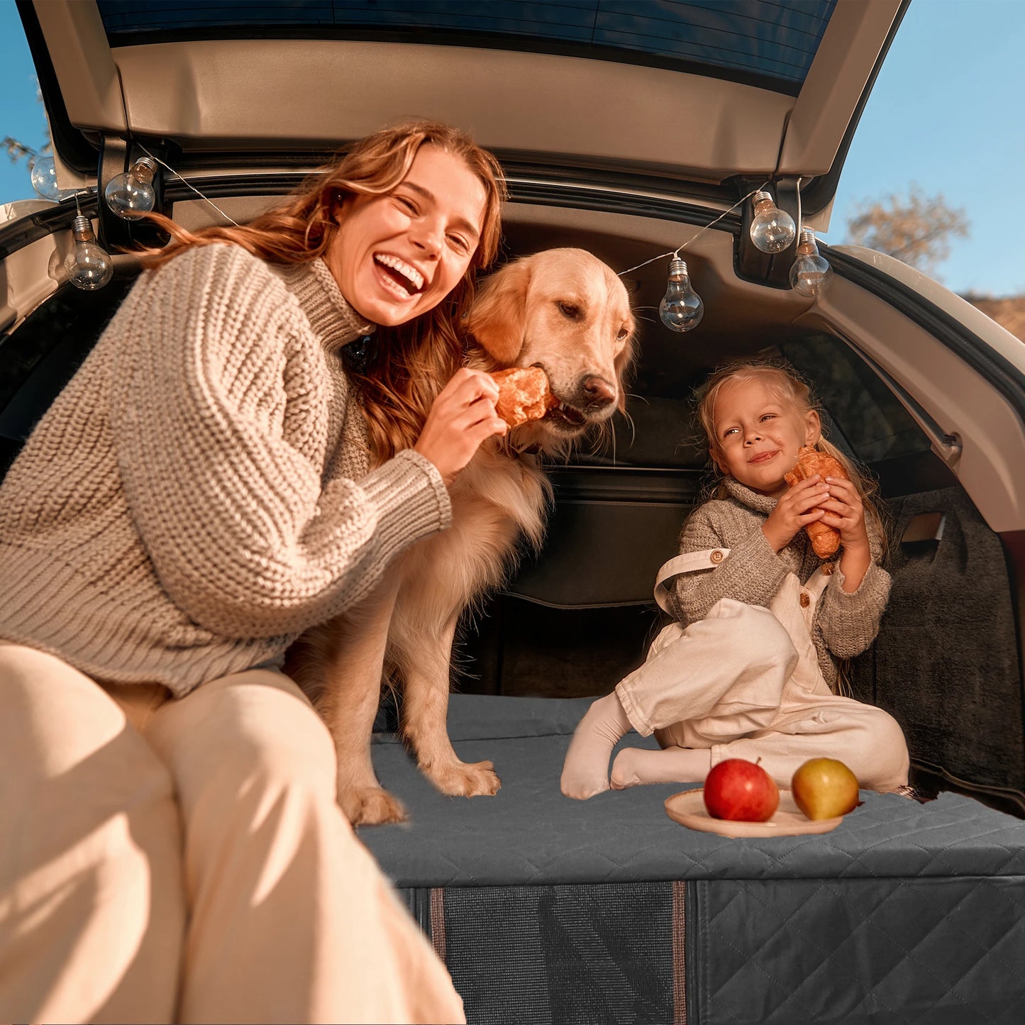 UXCELL Dog Car Back Seat Cover Casual Solid Dog Mats Cover Waterproof Dog Hammock for Car SUV Trunk Mat with Side Flaps