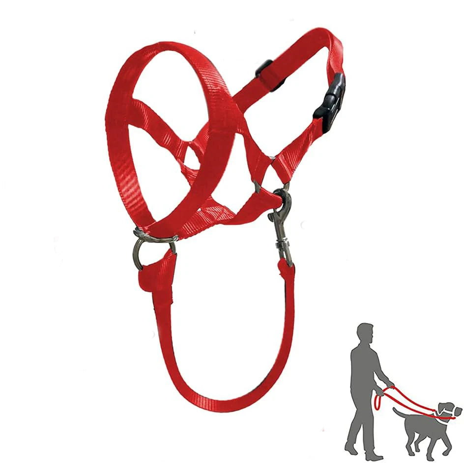 Nylon Dog Muzzle for Small Medium Large Dogs Adjustable Anti Barking Biting , Control Pet Leader Dog Head Collar Halter Leash