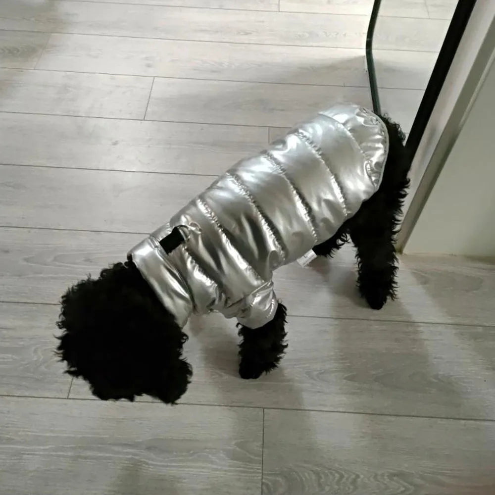Puppy Pet Dog Clothes Outdoor Windproof Waterproof Leather Dog Coat Winter Warm Padded Jacket for Dogs and Cats in Cold Weather