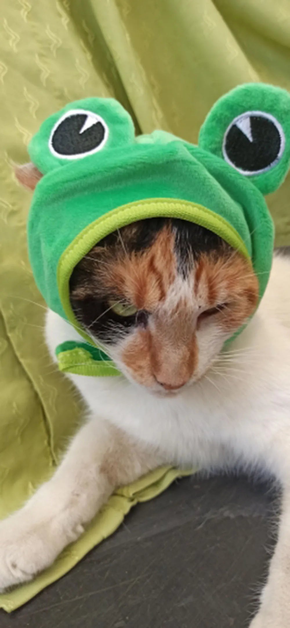 Cute Pet Hat Small Dog Cat Hat Easter Bunny Hat Crab Lobster Frog Cap Pet Party Costume Accessories Headwear for Cat Kitten Pug