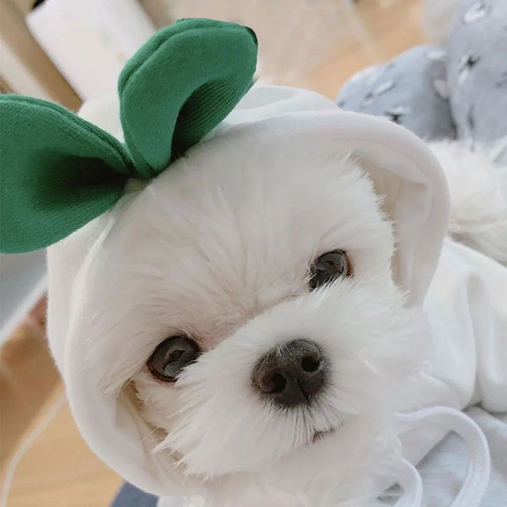 Cute Fruit Pet Costume Dog Clothes for Small Dogs Warm Fleece Doggy Hoodies Pet Dog Cat Clothing Puppy Sweater for Chihuahua Pug