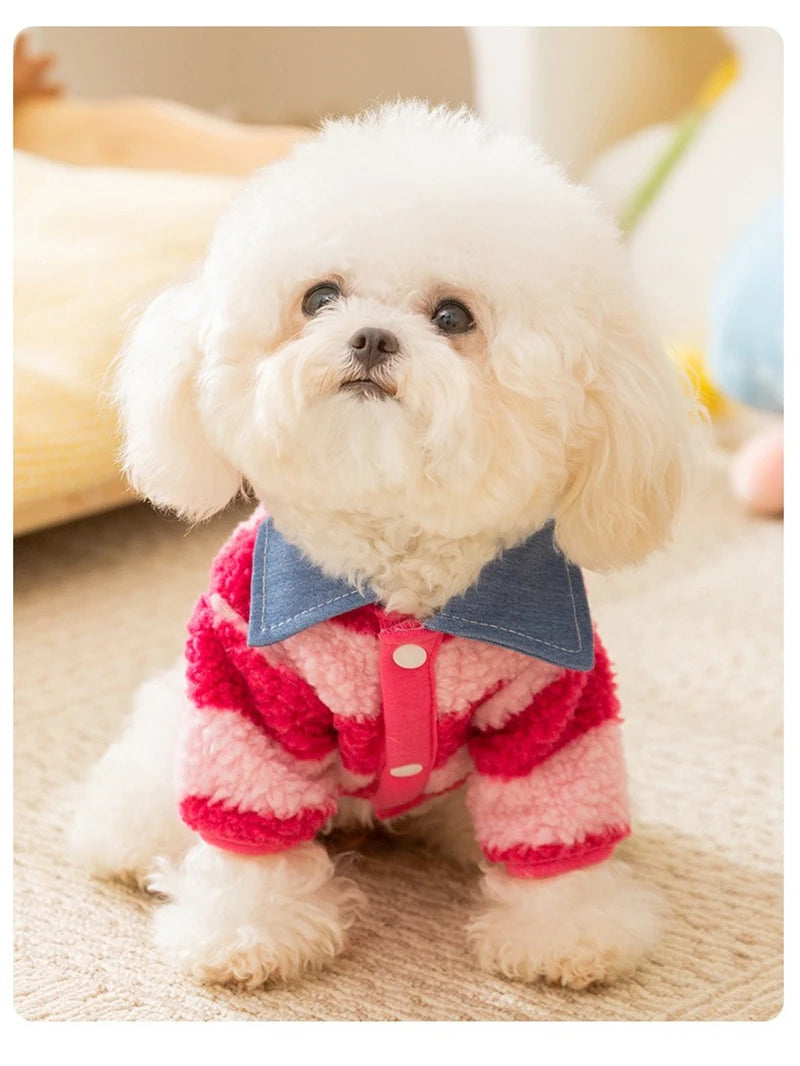 Velvet Warm Pet Cat Sweatshirts Chihuahua Half Sleeve Denim Collar Designer Striped Puppy Winter Clothes Soft Overalls for Yorks