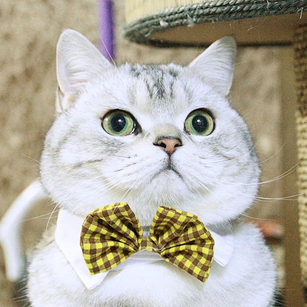 Pet Dog Cat Adjustable Bow Tie Collar Puppy Necktie Bowknot Bowtie Pet Cat Holiday Wedding Decoration Accessories for Small Dogs