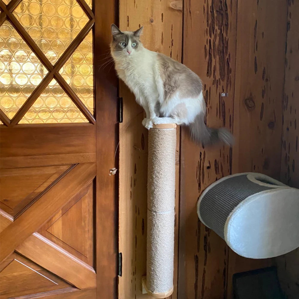 Cat tree Wall Mounted Furniture Climbing Shelves Cat Scratching Post Cat House And Bridge With Jumping Step For Pet Playing