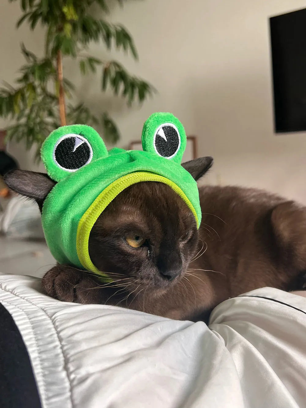 Cute Pet Hat Small Dog Cat Hat Easter Bunny Hat Crab Lobster Frog Cap Pet Party Costume Accessories Headwear for Cat Kitten Pug