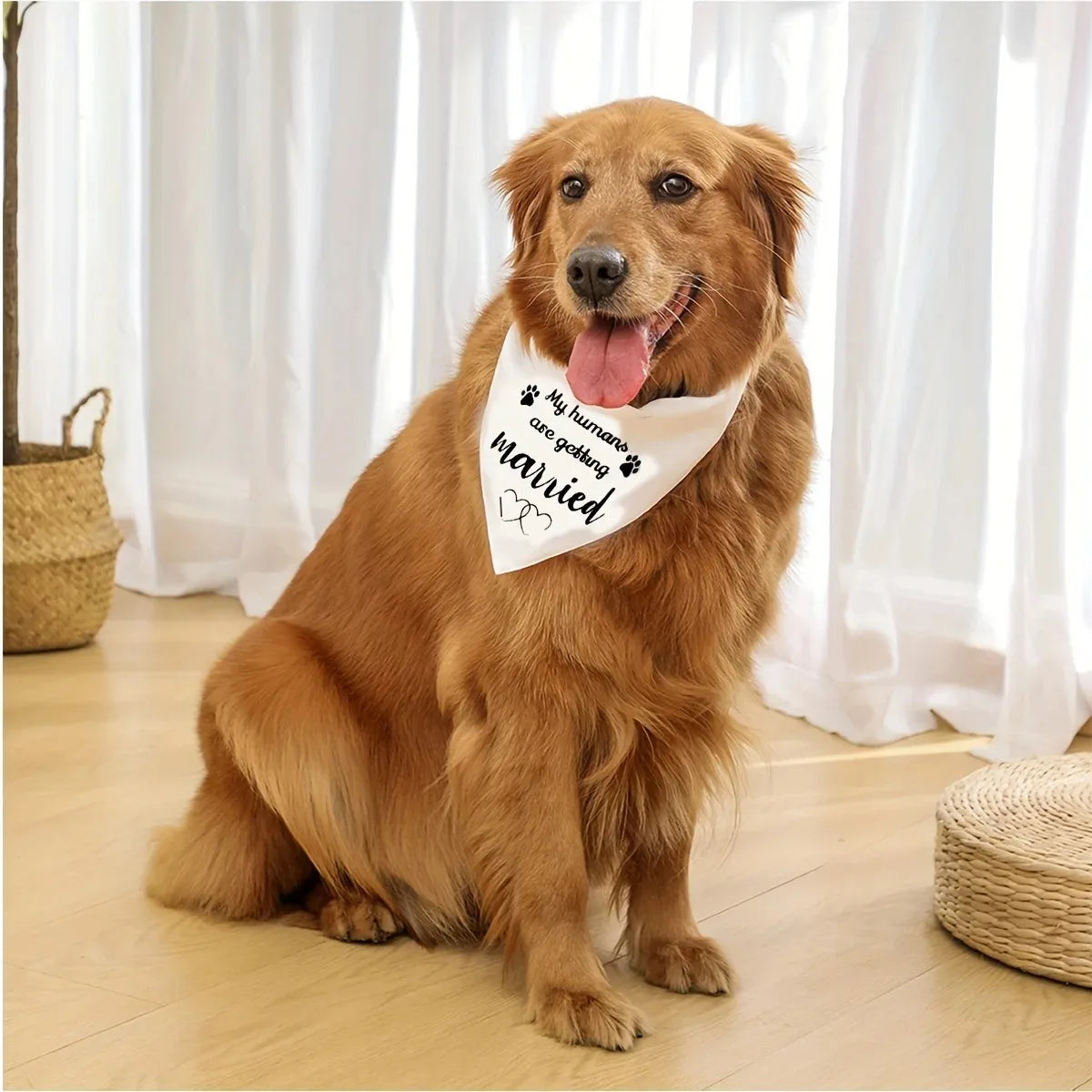 Dog Wedding Bandana Pet Triangle Bib White Scarf Neckerchief Engagement Announcemet She Said Yes My Humans are Getting Married