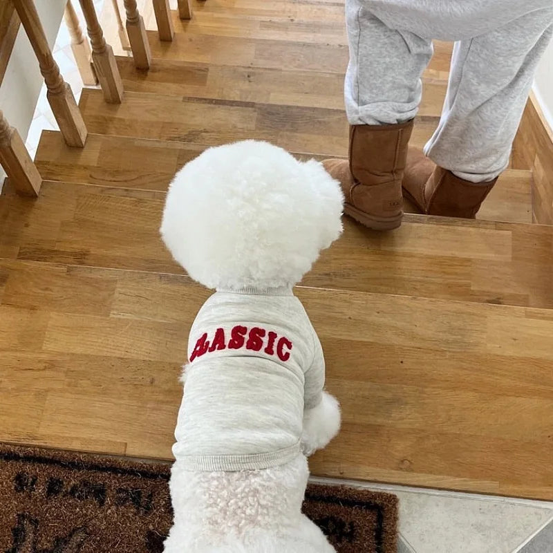 Winter Dog Coat Pet Dog Warm Clothes Puppy Hoodies Chihuahua French Bulldog Bichon Pug Clothing Solid Letter Warm Dog Sweatshirt